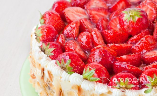 Кулинарное назначение ягод универсальное: они хороши в свежем виде и различных десертах, пригодны для всех способов переработки