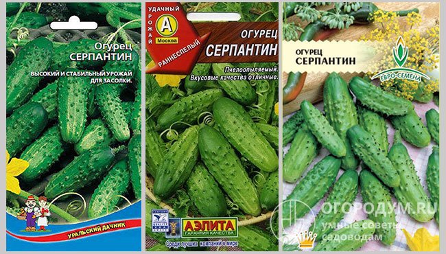 Семена огурцов сорта «Серпантин» в упаковках разных производителей