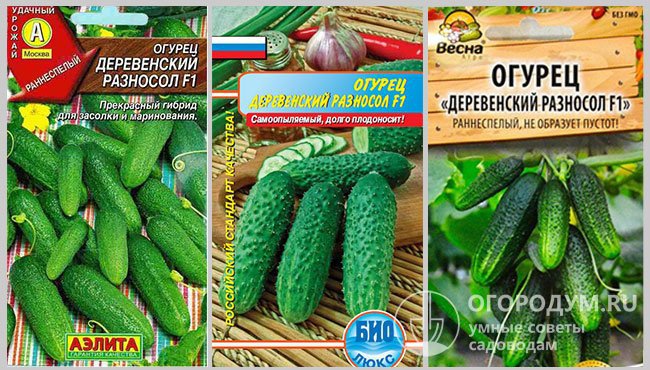 Упаковки с семенами гибрида огурцов «Деревенский разносол F1» различных производителей