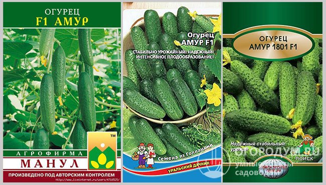 Упаковки с семенами гибрида огурцов «Амур F1» различных фирм-производителей