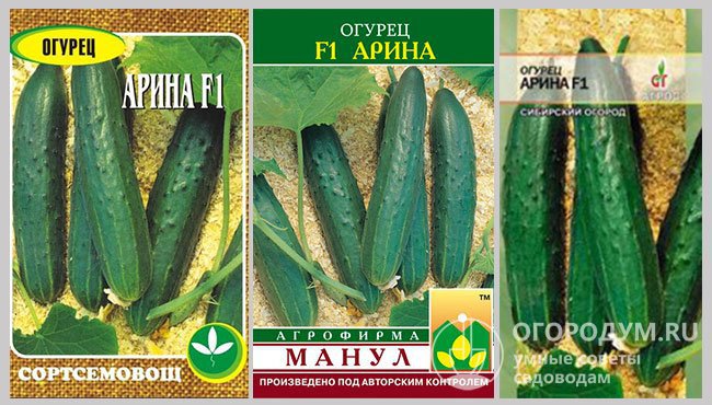 На фото – упаковки семян гибрида огурцов «Арина F1» разных производителей
