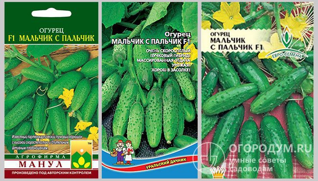 Упаковки различных производителей с семенами гибрида огурцов «Мальчик с пальчик F1»