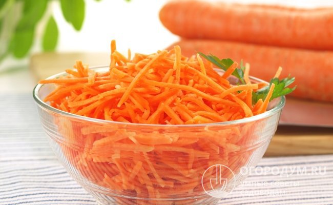Морковь данного сорта прекрасно подходит для детского и диетического питания