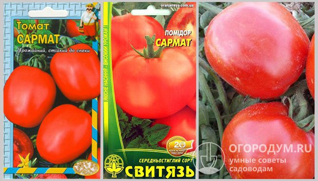 Упаковки семян различных производителей и фото спелых помидоров «Сармат»