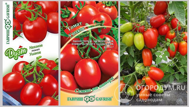 Упаковки с семенами томатов производителя «Гавриш» и фото созревающих помидоров сорта «Ушаков»