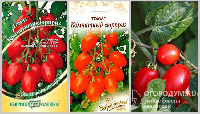 Упаковки семян «Комнатный сюрприз» различных производителей и фотография спелых помидоров