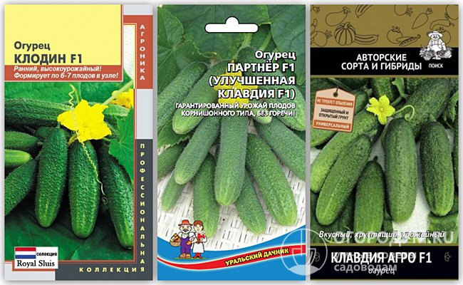 На фото – упаковки семян различных дочерних гибридов огурцов, созданных на основе сорта «Клавдия F1»