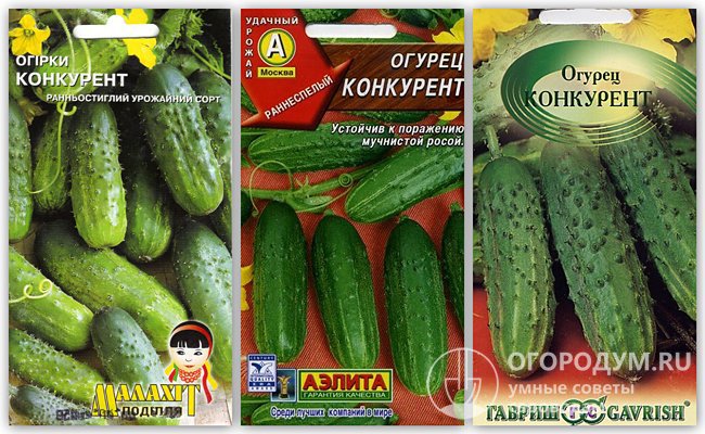 На фото – упаковки с семенами сорта огурцов «Конкурент» различных производителей