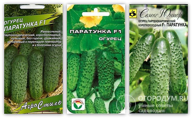 На фото – упаковки с семенами гибридного сорта различных производителей, в том числе оригинатора – агрофирмы «Семко-Юниор»