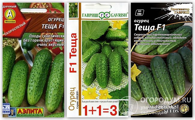 На фото – упаковки семян гибридного сорта огурцов «Теща F1» различных производителей