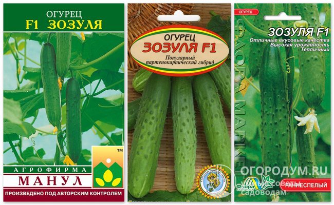 На фото – упаковки с семенами гибридного сорта огурцов «Зозуля F1» различных производителей