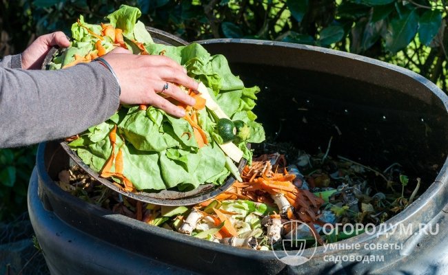 Многие садоводы для органических подкормок используют компост, готовя его из всевозможных растительных отходов