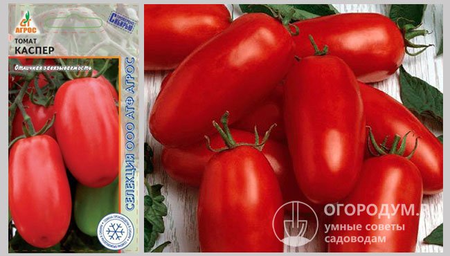 Упаковка с семенами и фотография спелых томатов сорта «Каспер»