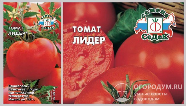 Упаковки семян сорта помидоров «Лидер» производителя «СеДеК»