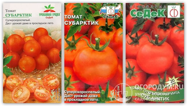 Упаковки семян томатов сорта «Субарктик» производителя «СеДеК»