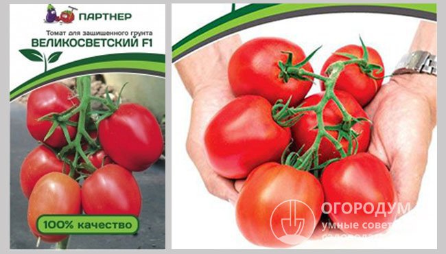 Упаковки семян томатов гибрида «Великосветский F1» производителя «Партнер»