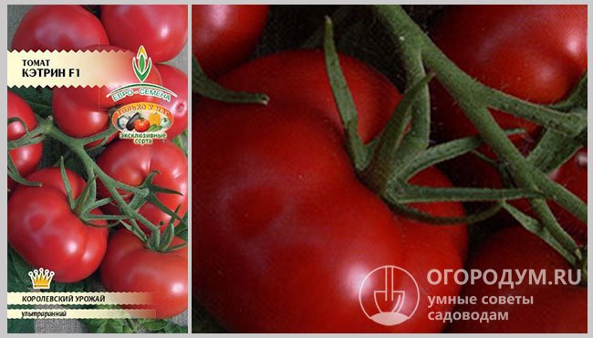 Семена и фото спелых помидоров сорта «Кэтрин F1»