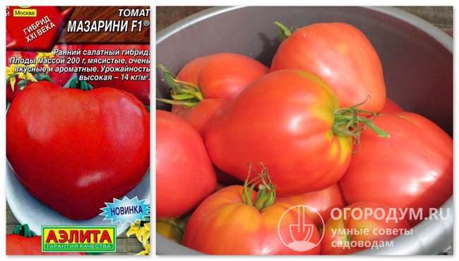 Упаковка семян гибрида помидоров «Мазарини F1» и фотография томатов этого сорта