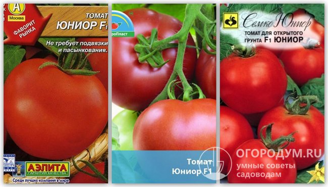Упаковки семян томатов гибрида «Юниор F1» различных производителей