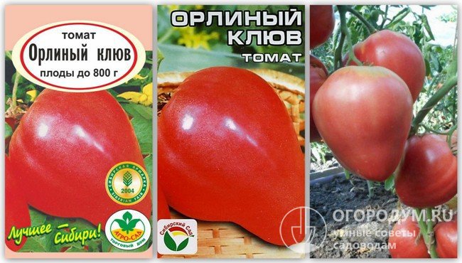 Упаковки семян «Орлиный клюв» и фотография помидоров этого сорта