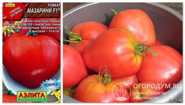 Упаковка семян гибрида «Мазарини F1» и фотография помидоров этого сорта