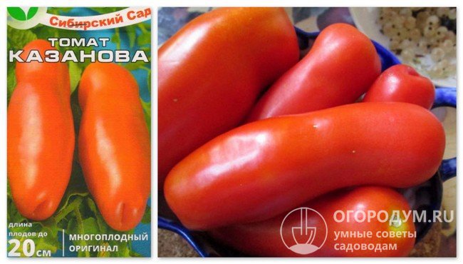 Упаковка семян «Казанова» и фотография помидоров этого сорта
