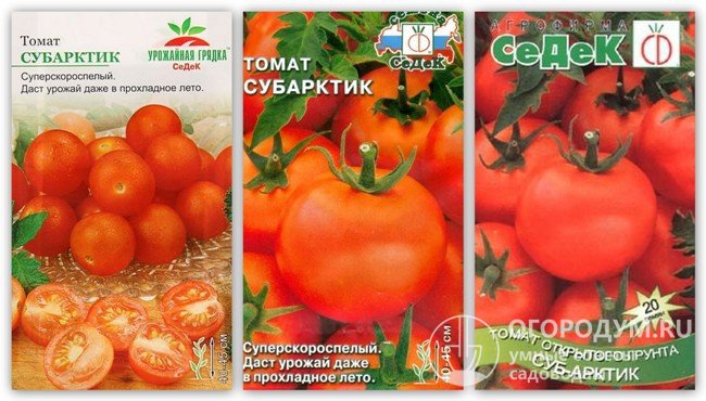 Разные упаковки семян «Субарктик» производителя «СЕДЕК»