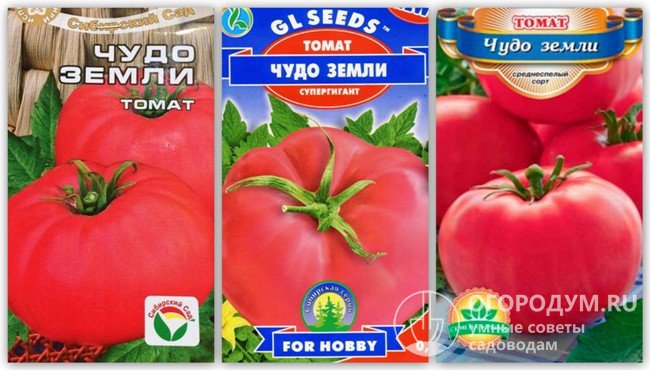 Упаковки семян томатов сорта «Чудо земли» разных производителей