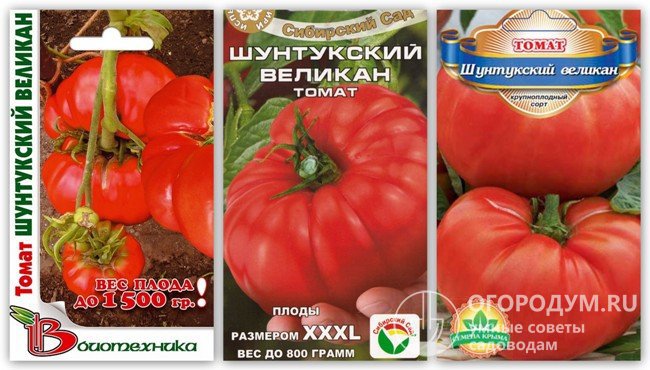 Упаковки семян томатов сорта «Шунтукский великан» разных производителей