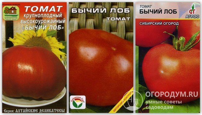 Упаковки семян томатов сорта «Бычий лоб» разных производителей