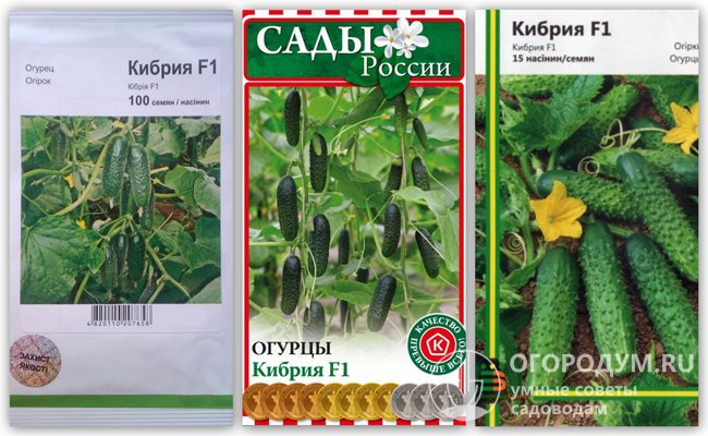 Упаковки семян гибридного сорта различных производителей