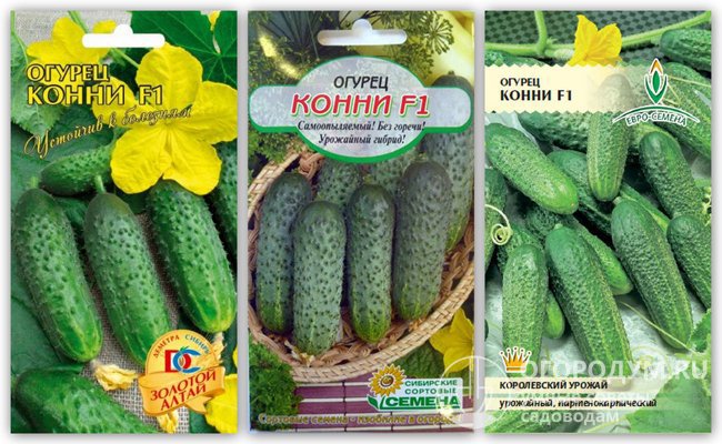 Упаковки с семенами гибридного сорта огурцов «Конни F1» различных производителей