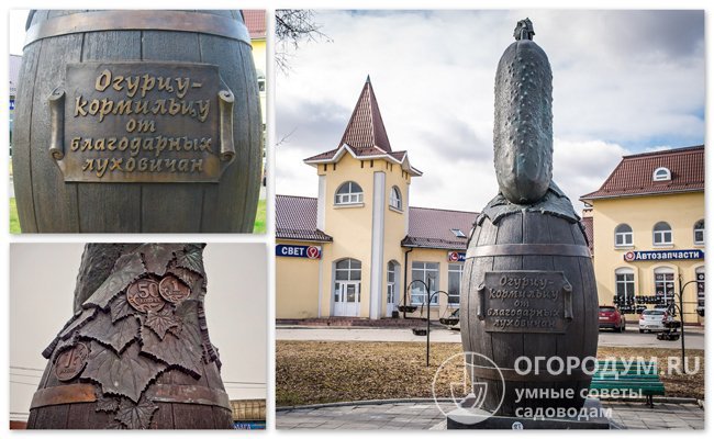 Луховицкий огурец, как и Нежинский, удостоен собственного памятника