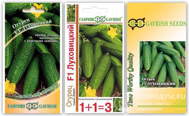На фото – упаковки с семенами гибрида производителя-оригинатора (агрофирмы «Гавриш»)