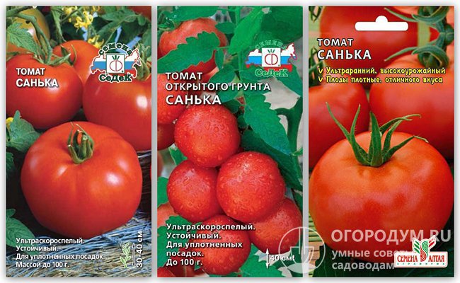 На фото – упаковки с семенами томата «Санька» различных производителей
