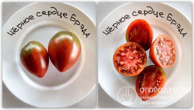 Фотографии помидоров сорта «Черное сердце Бреда»