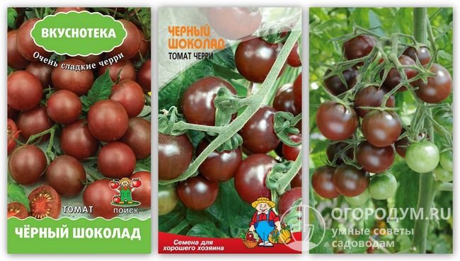 Упаковки семян «Черный шоколад» и фотография помидоров этого сорта