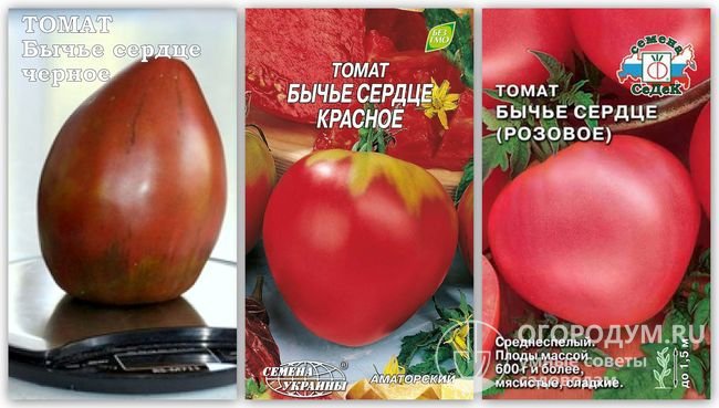 Фотография помидора сорта «Бычье сердце черное» и упаковки семян «Бычье сердце красное» и «Бычье сердце розовое» разных производителей