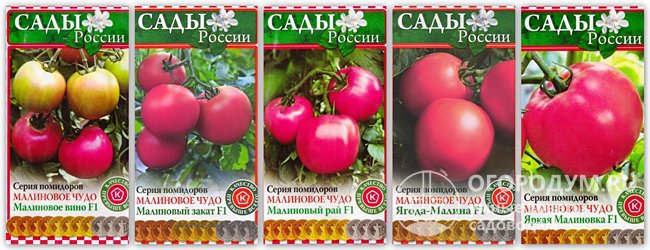 Упаковки семян первой серии томатов «Малиновое чудо»