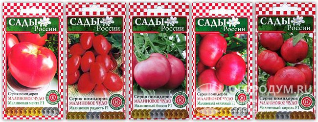 Упаковки семян второй серии томатов «Малиновое чудо»