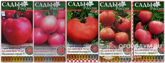 Упаковки семян третьей серии томатов «Малиновое чудо»
