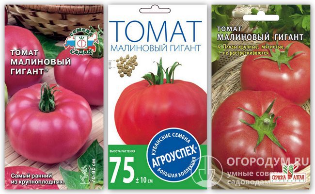 Упаковки семян томата «Малиновый гигант» разных производителей