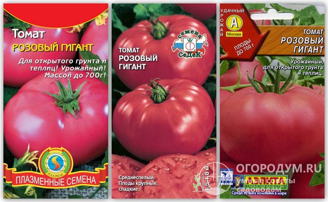 Упаковки семян томата «Розовый гигант» разных производителей