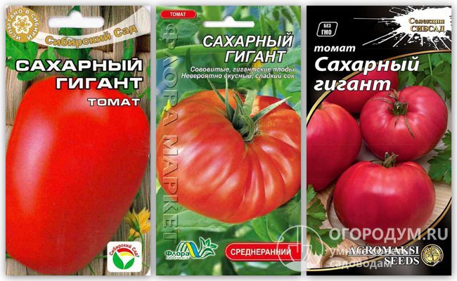 Как видите, на упаковках семян одного и того же сорта разных производителей изображены помидоры разных форм