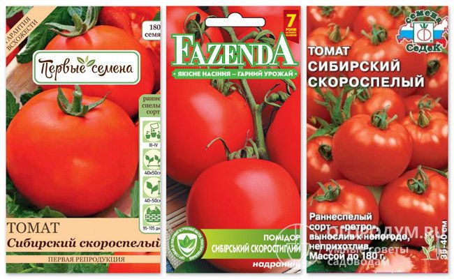 На фото – упаковки семян томата «Сибирский скороспелый» разных производителей