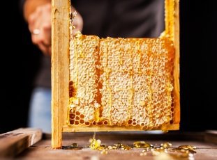 Рамки для ульев своими руками