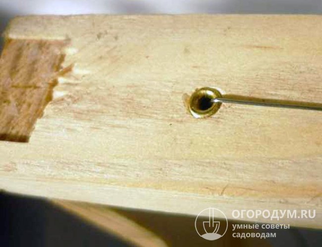 Чтобы втулки (диаметром 2,5 мм) сидели плотно, нужно просверлить отверстия сверлом на 2 мм