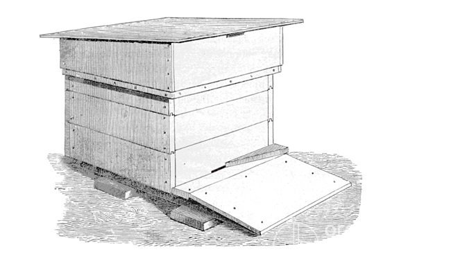 Компактные размеры улья позволяют пчеловоду более эффективно осуществлять самостоятельный уход за насекомыми