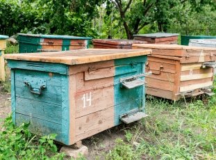 Как собственноручно изготовить улей-лежак на 24 рамки