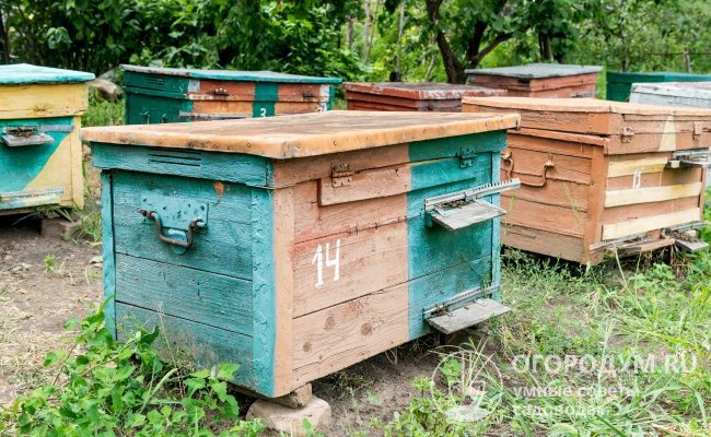 Ульи и способы пчеловождения